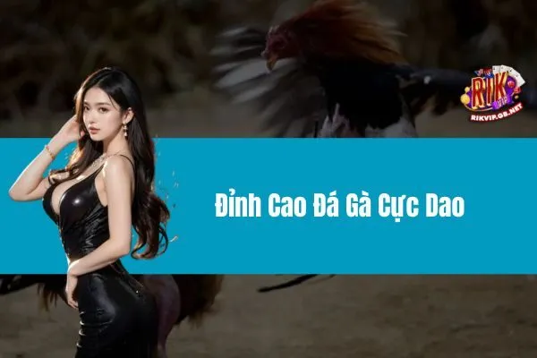 Đỉnh Cao Đá Gà Cực Dao – Cập Nhật Kết Quả Trực Tiếp Nhanh Nhất