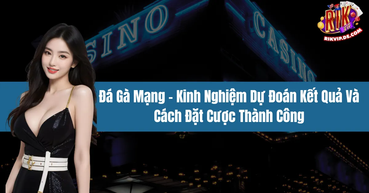 Đá Gà Mạng - Kinh Nghiệm Dự Đoán Kết Quả Và Cách Đặt Cược Thành Công